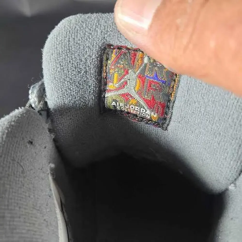 Authentic Air Jordan 10 Retro “Cool Grey”‎ (2017)